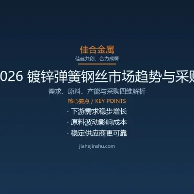 2026 镀锌弹簧钢丝市场趋势与采购策略