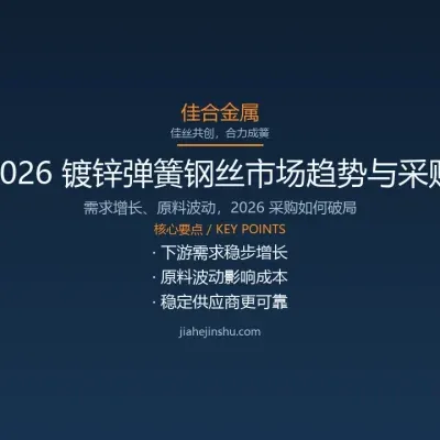 2026 镀锌弹簧钢丝市场趋势与采购策略