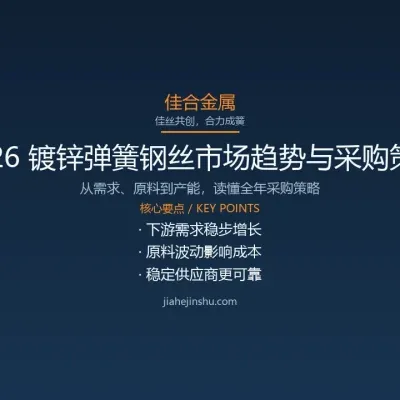 2026 镀锌弹簧钢丝市场趋势与采购策略