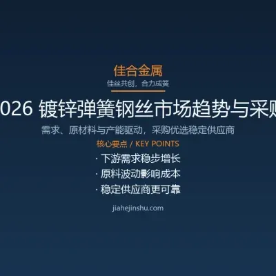 2026 镀锌弹簧钢丝市场趋势与采购策略